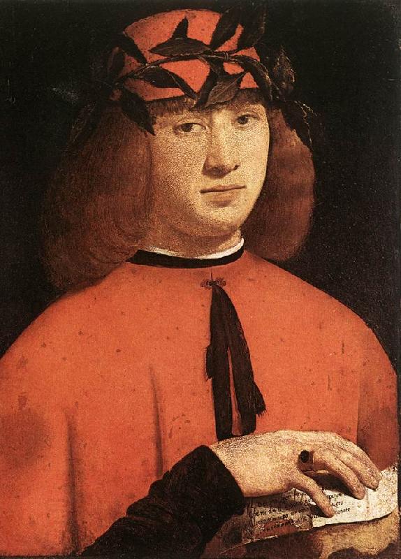 BOLTRAFFIO, Giovanni Antonio Portrait of Gerolamo Casio oil painting picture